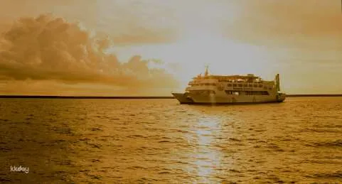 Okinawa, Japan｜Moby Dick Cruises in Naha, Okinawa