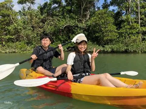 Northern Okinawa, Kin Town | Okukubi River Mangrove Kayak Tour | Free photo data by Sea Lovers Okinawa