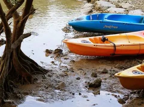 [Okinawa tour] Mangrove exploration kayak tour on Hija River where subtropical nature spreads｜Departing from Kadena (Central Okinawa)